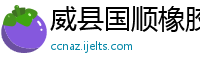 威县国顺橡胶密封件有限公司